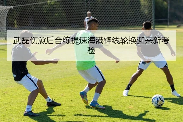 武磊伤愈后合练提速海港锋线轮换迎来新考验
