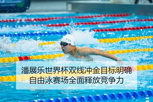 潘展乐世界杯双线冲金目标明确 自由泳赛场全面释放竞争力